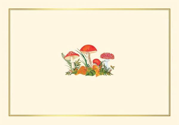 Mushrooms Note Cards (14 Cards, 15 Self-Sealing Envelopes) Mushrooms Note Cards (14 Cards, 15 Self-Sealing Envelopes)