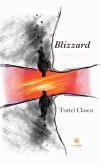 Blizzard (eBook, ePUB)