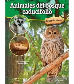 Animales del Bosque Caducifolio - Cocca