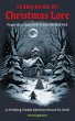 The Scary Book of Christmas Lore - Bild 1