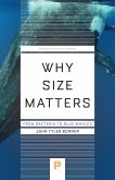 Why Size Matters (eBook, ePUB)