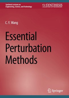 Essential Perturbation Methods (eBook, PDF) - Wang, C.Y.