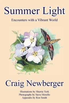 Summer Light - Newberger, Craig