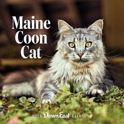 2024 Maine Coon Cat Wall Calendar - Down East Magazine