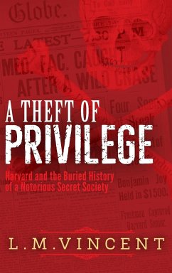 A Theft of Privilege - Vincent, L. M.
