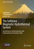 The Solfatara Magmatic-Hydrothermal System