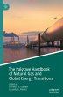 The Palgrave Handbook of Natural Gas... - Bild 1
