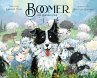 Boomer the Border Collie - Bild 1