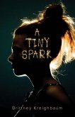 A Tiny Spark