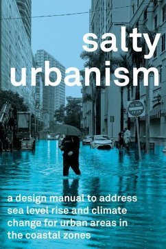 Salty Urbanism - Huber, Jeffrey