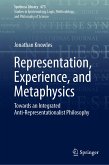 Representation, Experience, and Metaphysics (eBook, PDF)