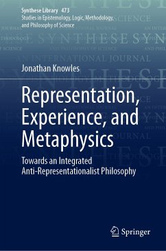 Representation, Experience, and Metaphysics (eBook, PDF) - Knowles, Jonathan