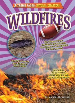 Wildfires - Abramson, Marcia