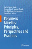 Polymeric Micelles: Principles, Perspectives and Practices (eBook, PDF)