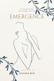 Emergence: A Collection of Unsaid Truths