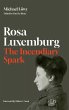 Rosa Luxemburg: The Incendiary Spark - Bild 1