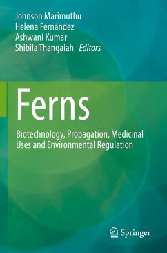 Cover Ferns