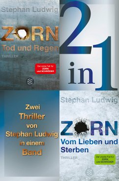 Tod und Regen / Vom Lieben und Sterben - Zwei Zorn-Thriller in einem Band (eBook, ePUB) - Ludwig, Stephan