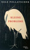 Kleine Probleme (eBook, ePUB)