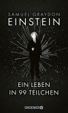 Einstein (eBook, ePUB)