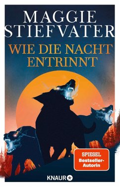 Cover Wie die Nacht entrinnt / Dreamer-Trilogie Bd.3 (eBook, ePUB)