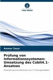 Prüfung von Informationssystemen: Umsetzung des Cobit4.1-Ansatzes