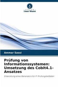 Prüfung von Informationssystemen: Umsetzung des Cobit4.1-Ansatzes - Sassi, Ammar