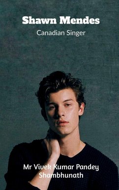 Shawn Mendes - Vivek