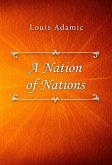 A Nation of Nations (eBook, ePUB)