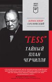 &quote;ГESS&quote; Тайный план Черчилля (eBook, ePUB)