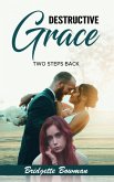 Destructive Grace (eBook, ePUB)