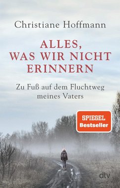 Alles, was wir nicht erinnern - Hoffmann, Christiane