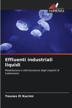 Effluenti industriali liquidi - El Kacimi, Younes