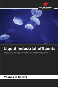 Liquid industrial effluents - El Kacimi, Younes