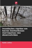 Inundações rápidas em bacias montanhosas marroquinas não desenvolvidas