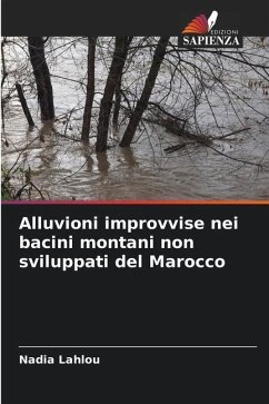 Alluvioni improvvise nei bacini montani non sviluppati del Marocco - Lahlou, Nadia