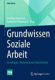 Grundwissen Soziale Arbeit (eBook, PDF)