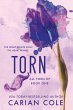 Torn (eBook, ePUB) - Bild 1