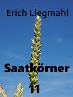 Saatkörner 11 (eBook, ePUB)