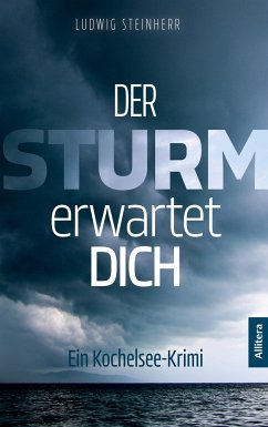 Der Sturm erwartet dich - Steinherr, Ludwig