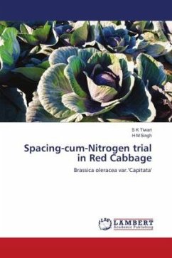 Spacing-cum-Nitrogen trial in Red Cabbage
