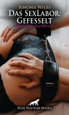 Das SexLabor: Gefesselt   Erotische Geschichte + 1 weitere Geschichte