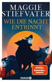 Wie die Nacht entrinnt / Dreamer-Trilogie Bd.3