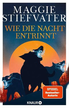 Wie die Nacht entrinnt / Dreamer-Trilogie Bd.3 - Stiefvater, Maggie