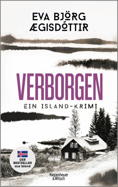 Verborgen / Mörderisches Island Bd.3 - Ægisdóttir, Eva Björg