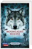 Das Geheimnis der Schattenwölfe / Moonlight Wolves Bd.1