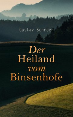 Cover Der Heiland vom Binsenhofe (eBook, ePUB)