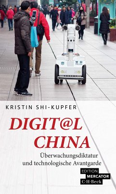 Digit@l China (eBook, PDF) - Shi-Kupfer, Kristin