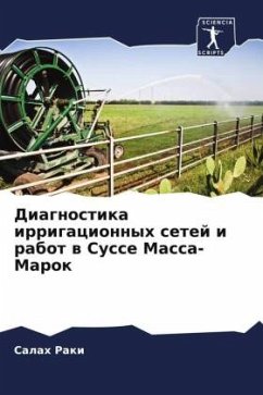 Cover Diagnostika irrigacionnyh setej i rabot w Susse Massa-Marok