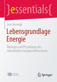 Lebensgrundlage Energie (eBook, PDF)